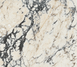 Paonazzo Crème Marble