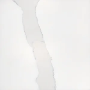 Calacatta White Quartz | QT-1005